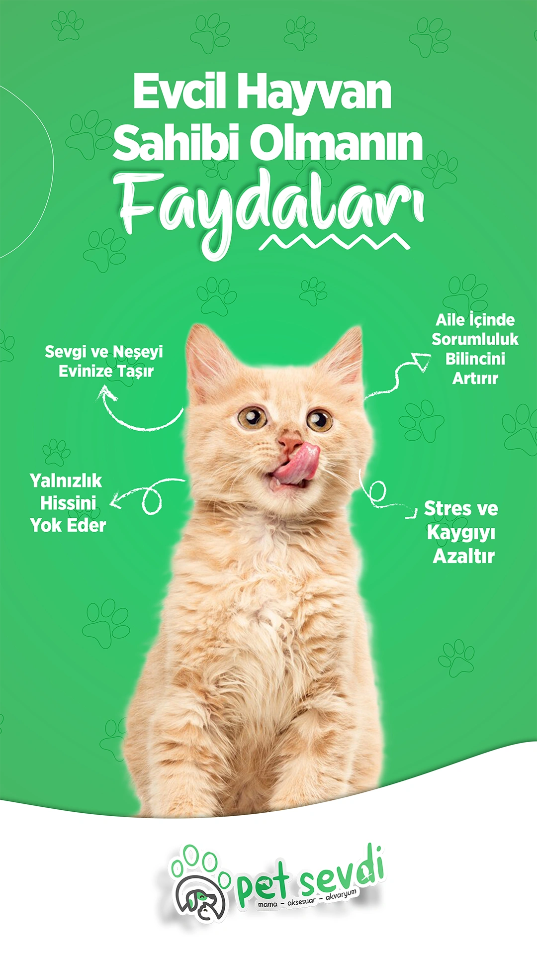 Petsevdi – Story – 16