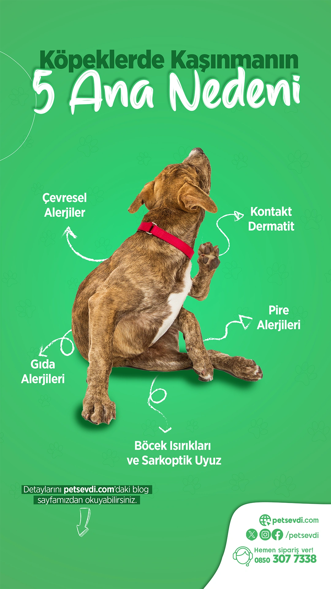 Petsevdi – Story – 23