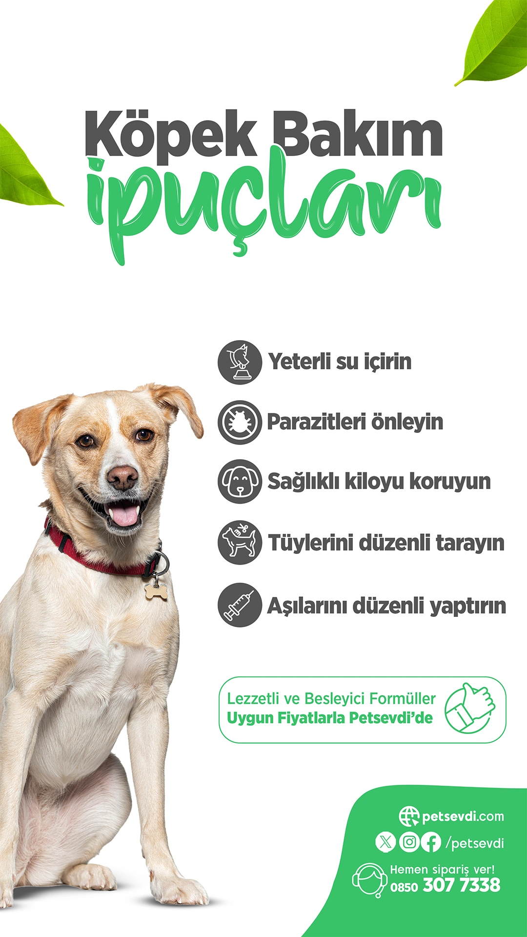 Petsevdi – Story – 26