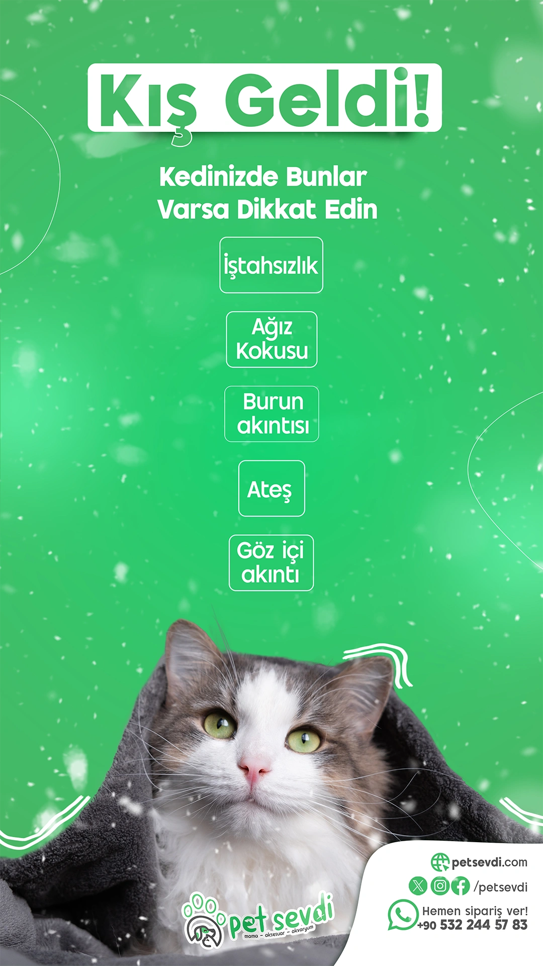 Petsevdi – Story – 3