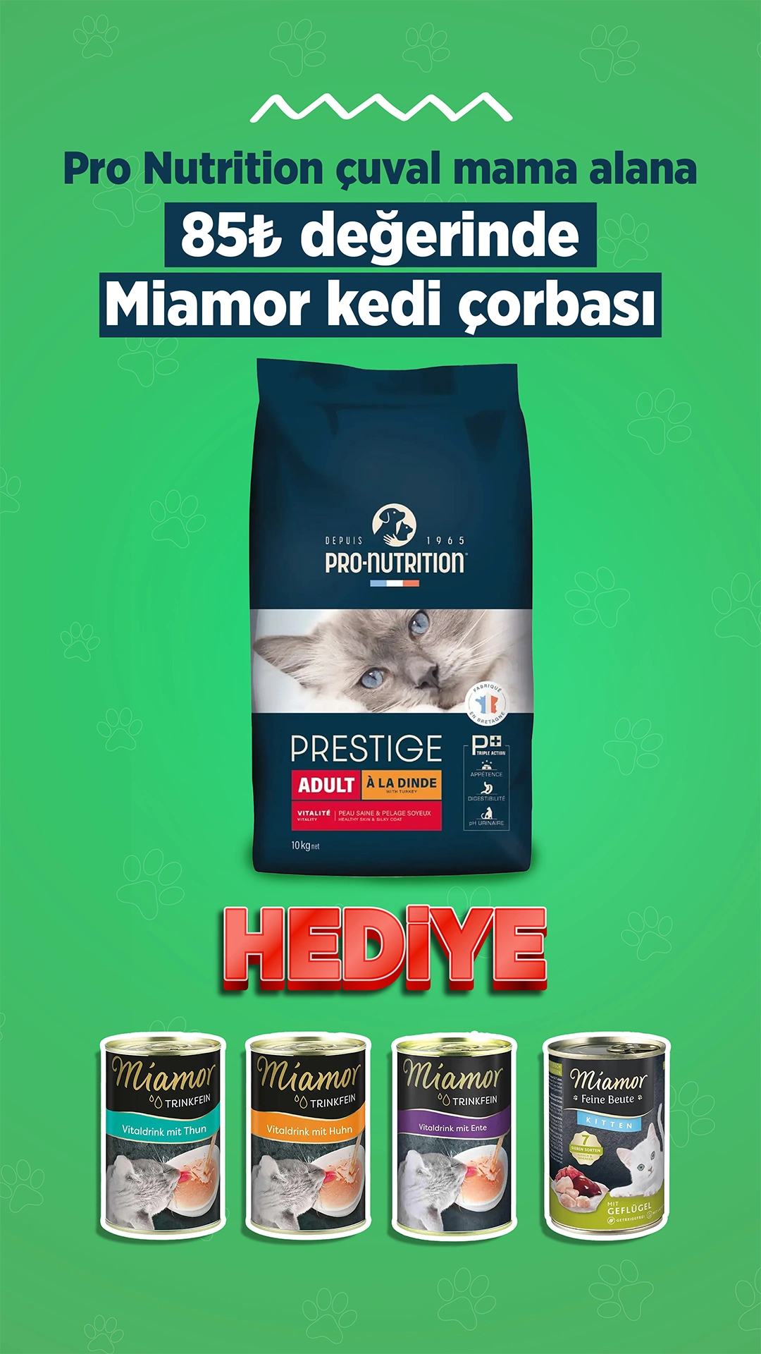 Petsevdi – Story – 34