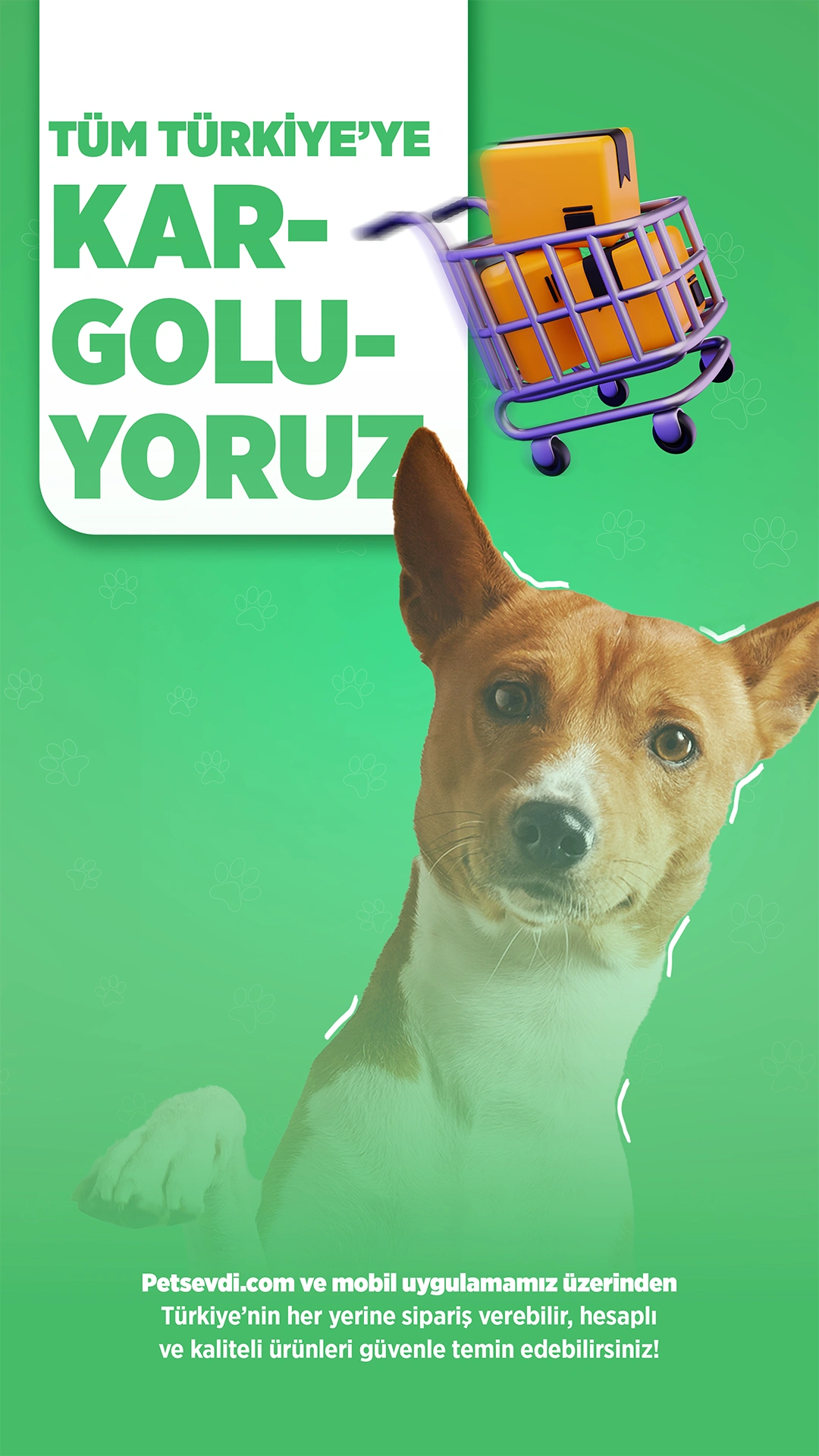 Petsevdi – Story – 35