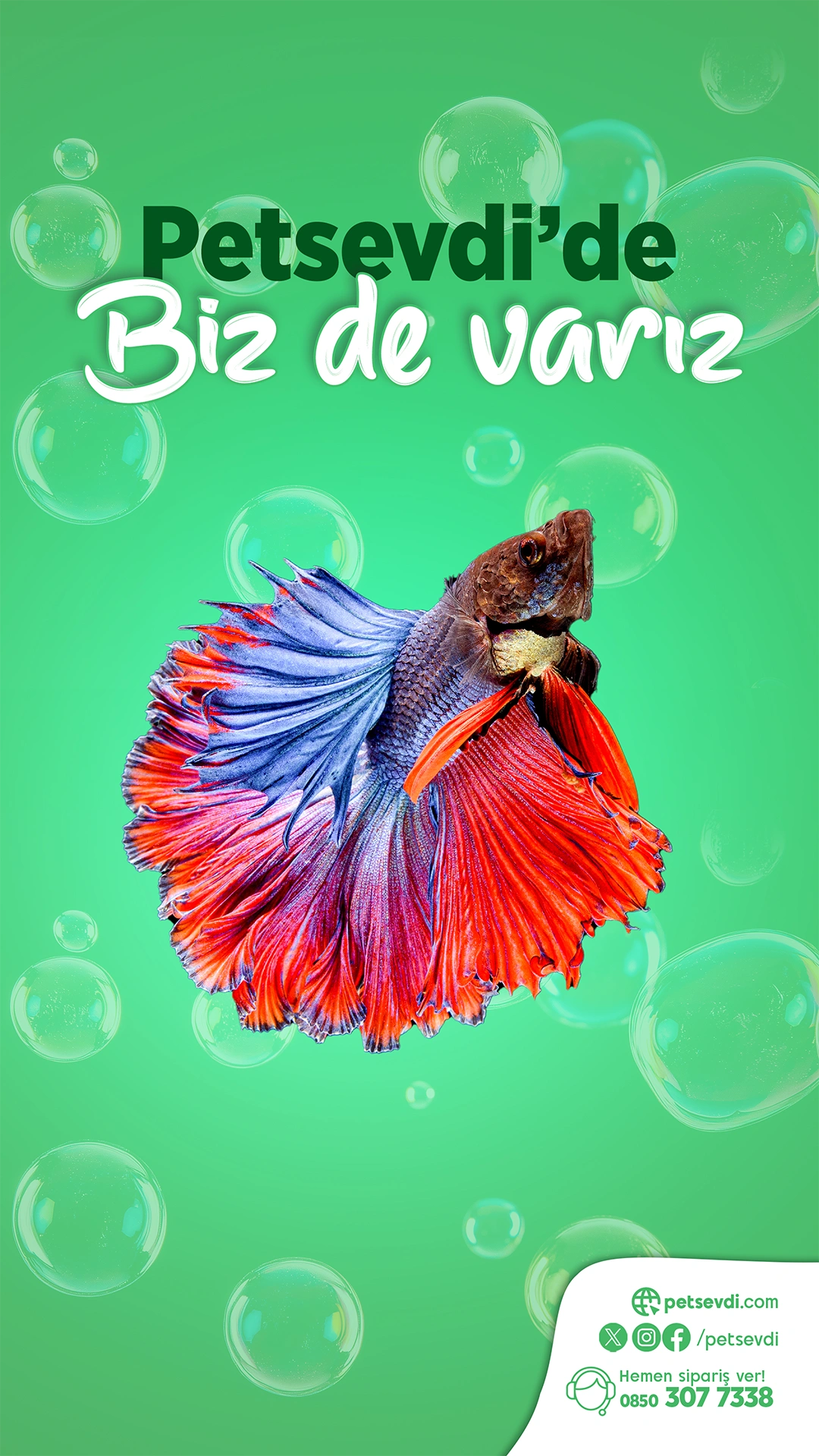 Petsevdi – Story – 39