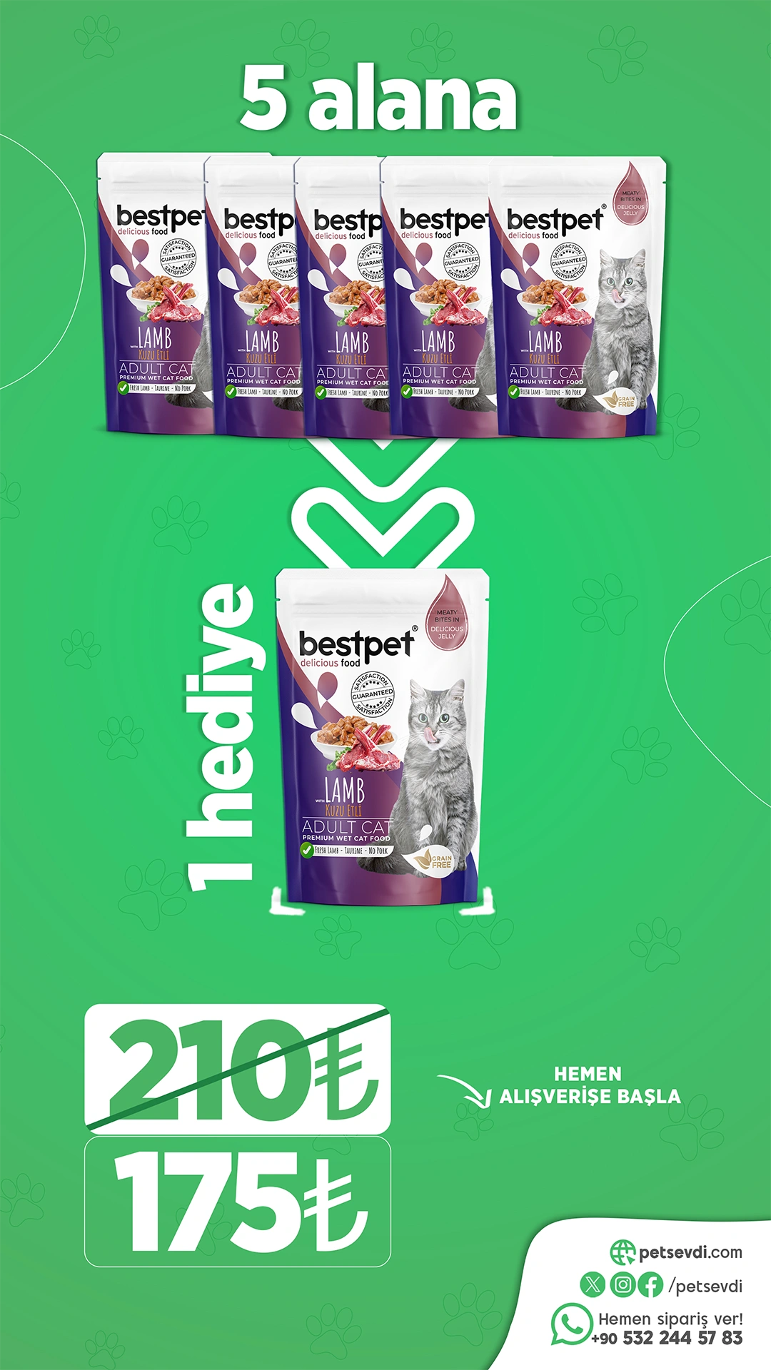 Petsevdi – Story – 5