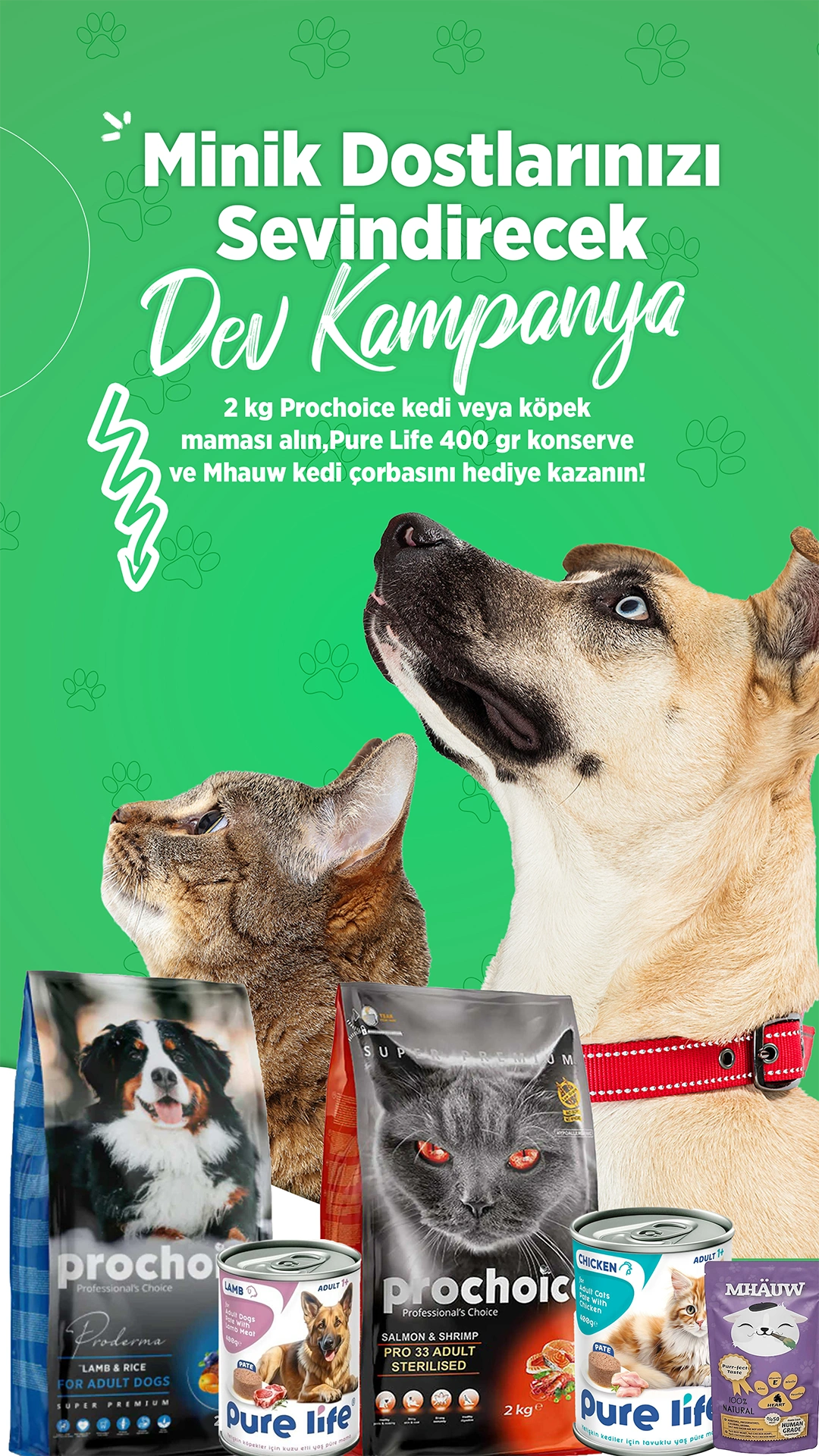 Petsevdi – Story – 6