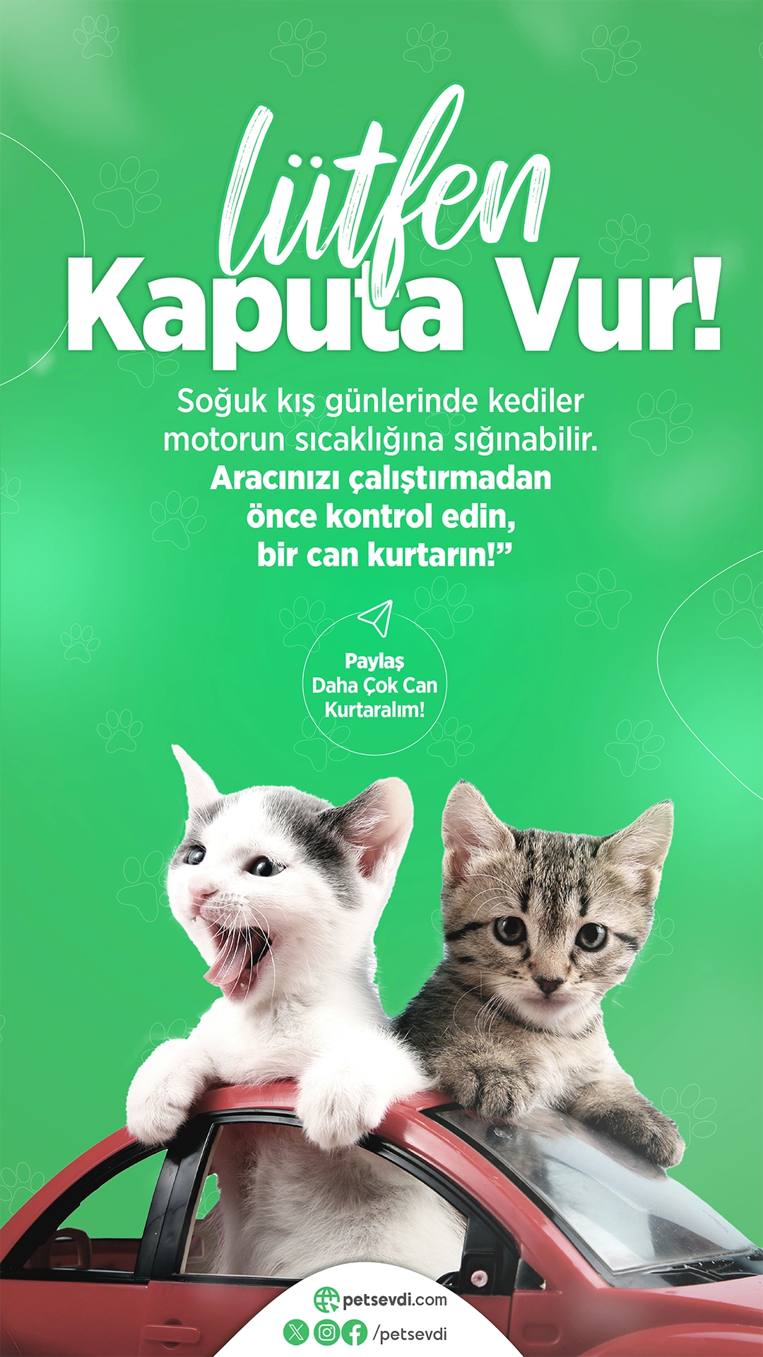 Petsevdi – Story – 8