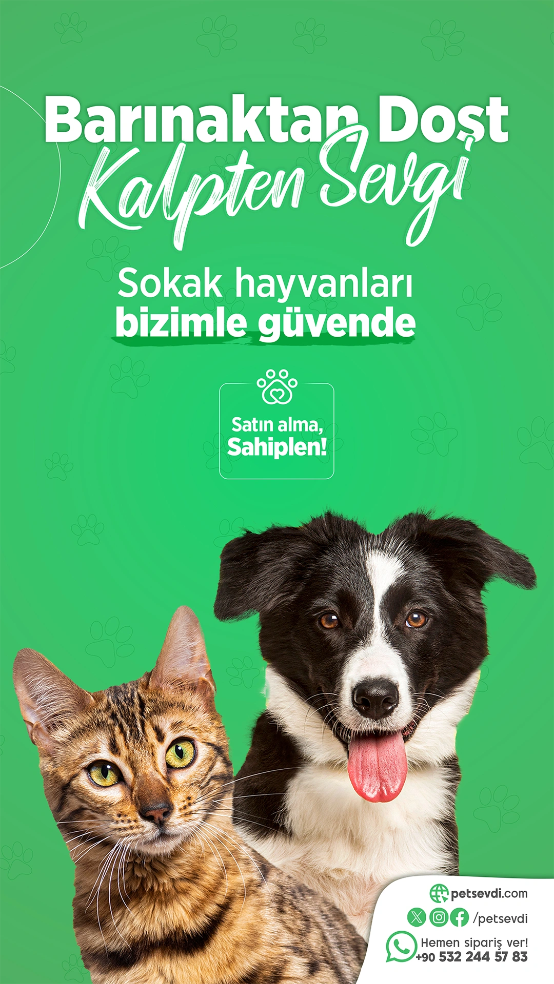 Petsevdi – Story – 9